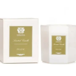 Candle - Fig Leaf