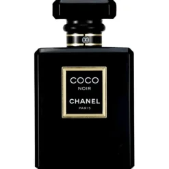 Coco Noir Eau De Parfum Spray