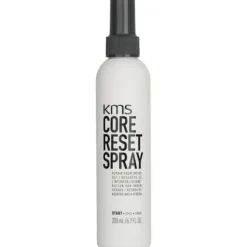 Core Reset Spray (Repair From Inside Out)