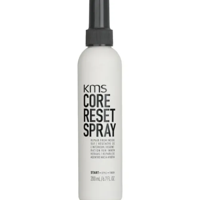 Core Reset Spray (Repair From Inside Out)